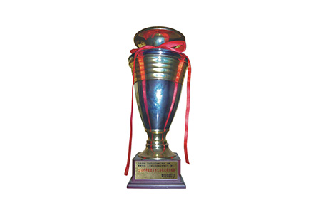 2007年重庆巴渝杯