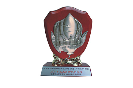 2008文明工地